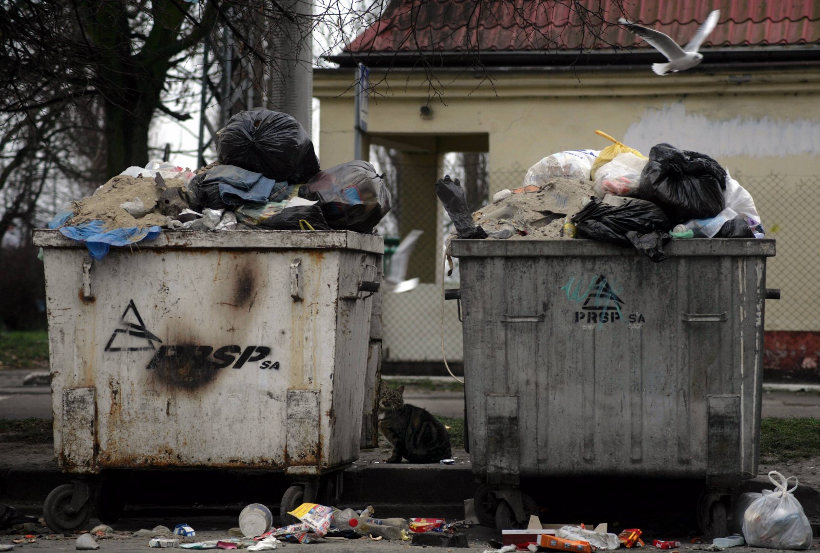 Plastik trafia do naszych organizmów