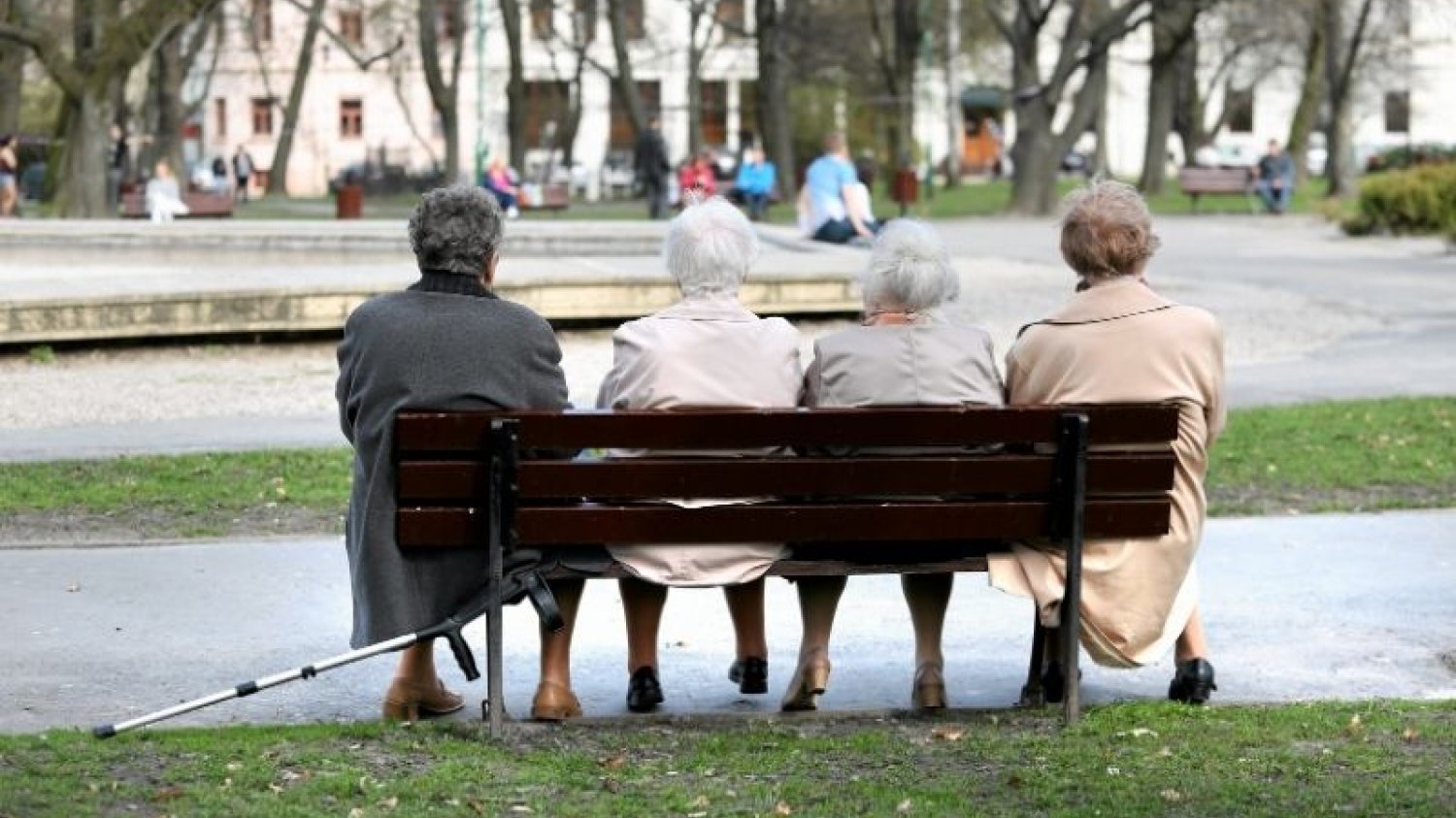 Rzecznik rządu podał, ile będzie kosztować 13. i 14. emerytura w 2021 r.