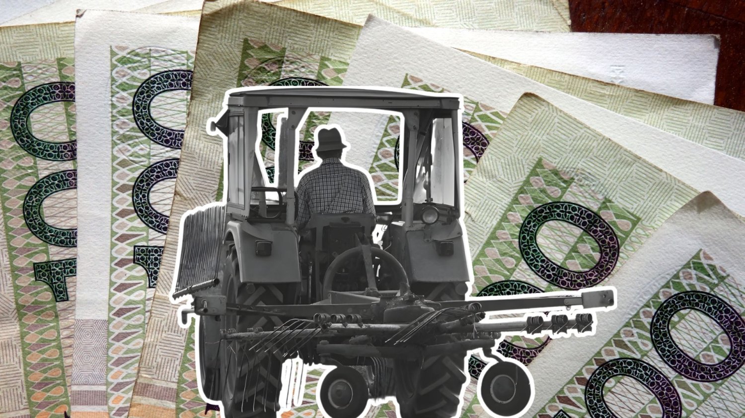 Rząd dopłaca miliony do emerytowanych rolników. Jedna zmiana pomogłaby wszystkim Rolnik na traktorze, banknoty stuzłotowe w tle. KRUS nadal płaci wysokie koszty za wysyłkę świadczeń emerytalnych pocztą.