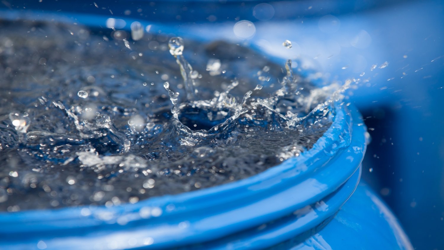 Nowa edycja programu "Mój Deszcz". Do zdobycia choćby 4000 zł