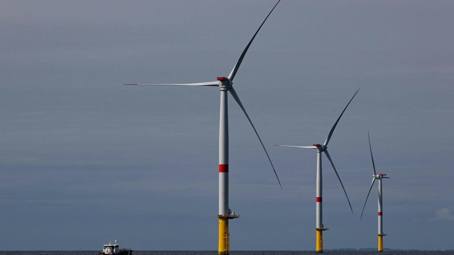 Minister Moskwa twierdzi, że rząd zajmie się w końcu odblokowaniem energetyki wiatrowej.
