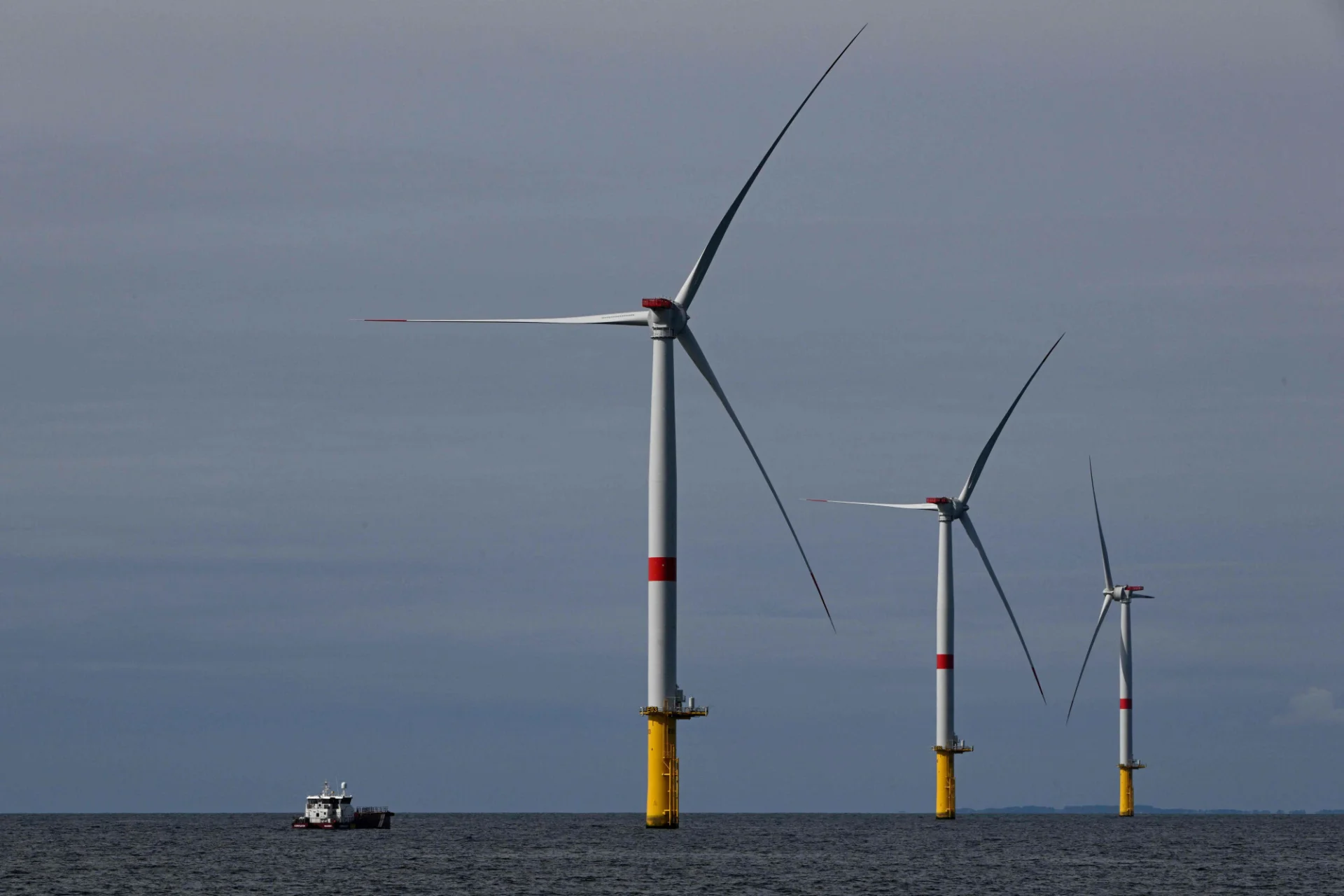 Minister Moskwa twierdzi, że rząd zajmie się w końcu odblokowaniem energetyki wiatrowej.