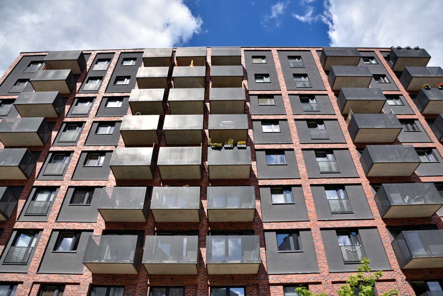 Polacy składają kilka wniosków naraz.