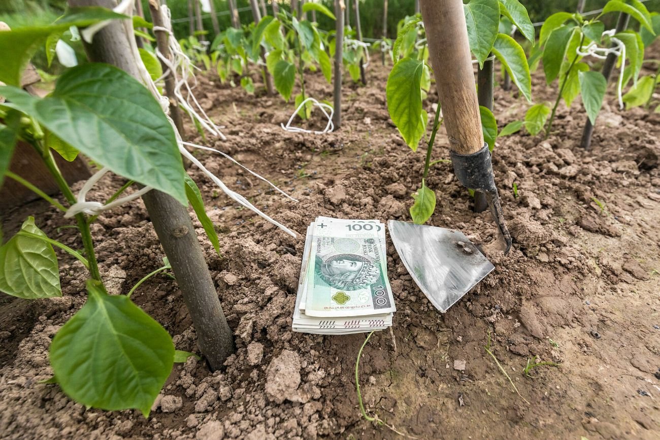 Jakie podatki płacą rolnicy?