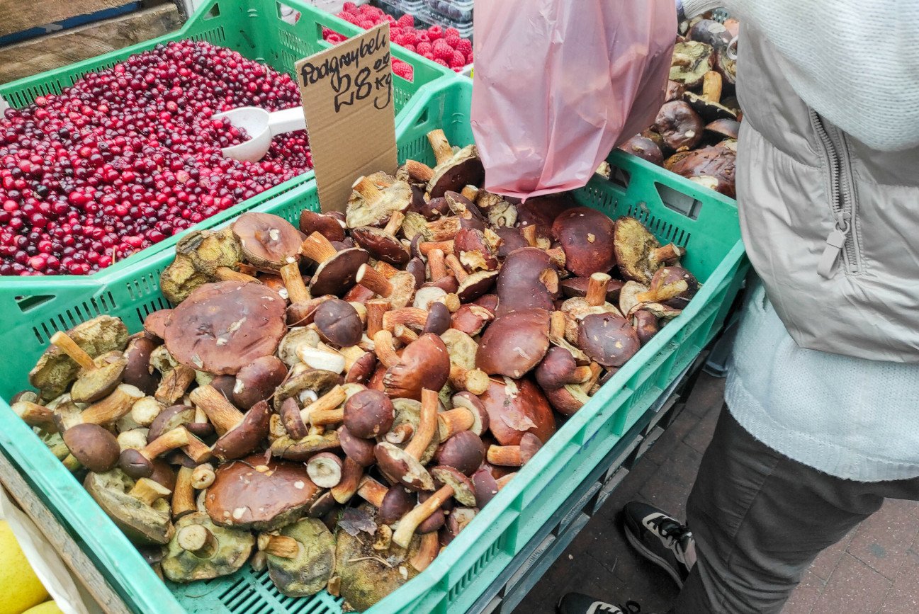 Ministerstwo Zdrowia chce wprowadzić zmiany w handlu grzybami