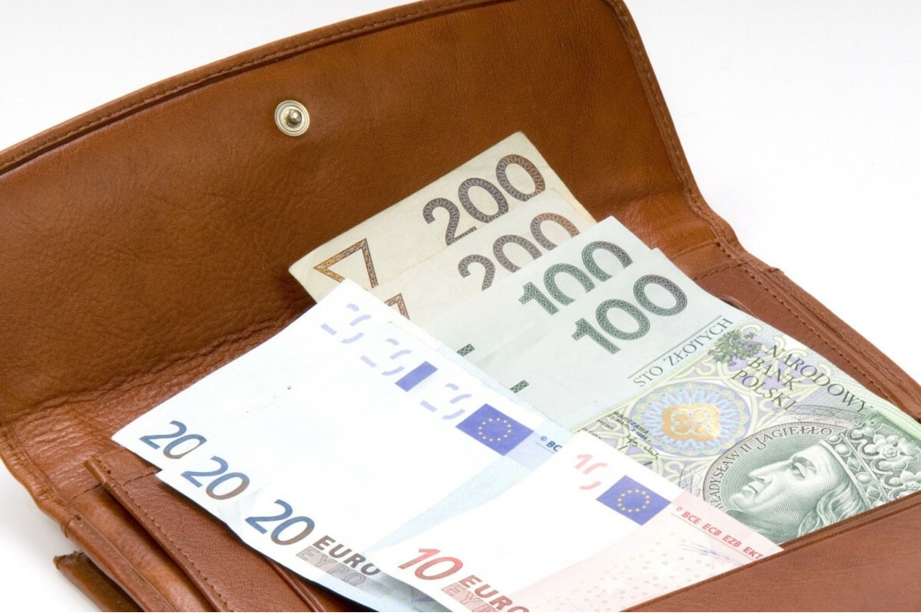 Portfel z banknotami euro i złotego