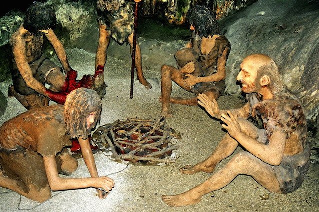 Zycie ludzkie nigdy by się nie rozwinęło, gdyby nie eukarionty.