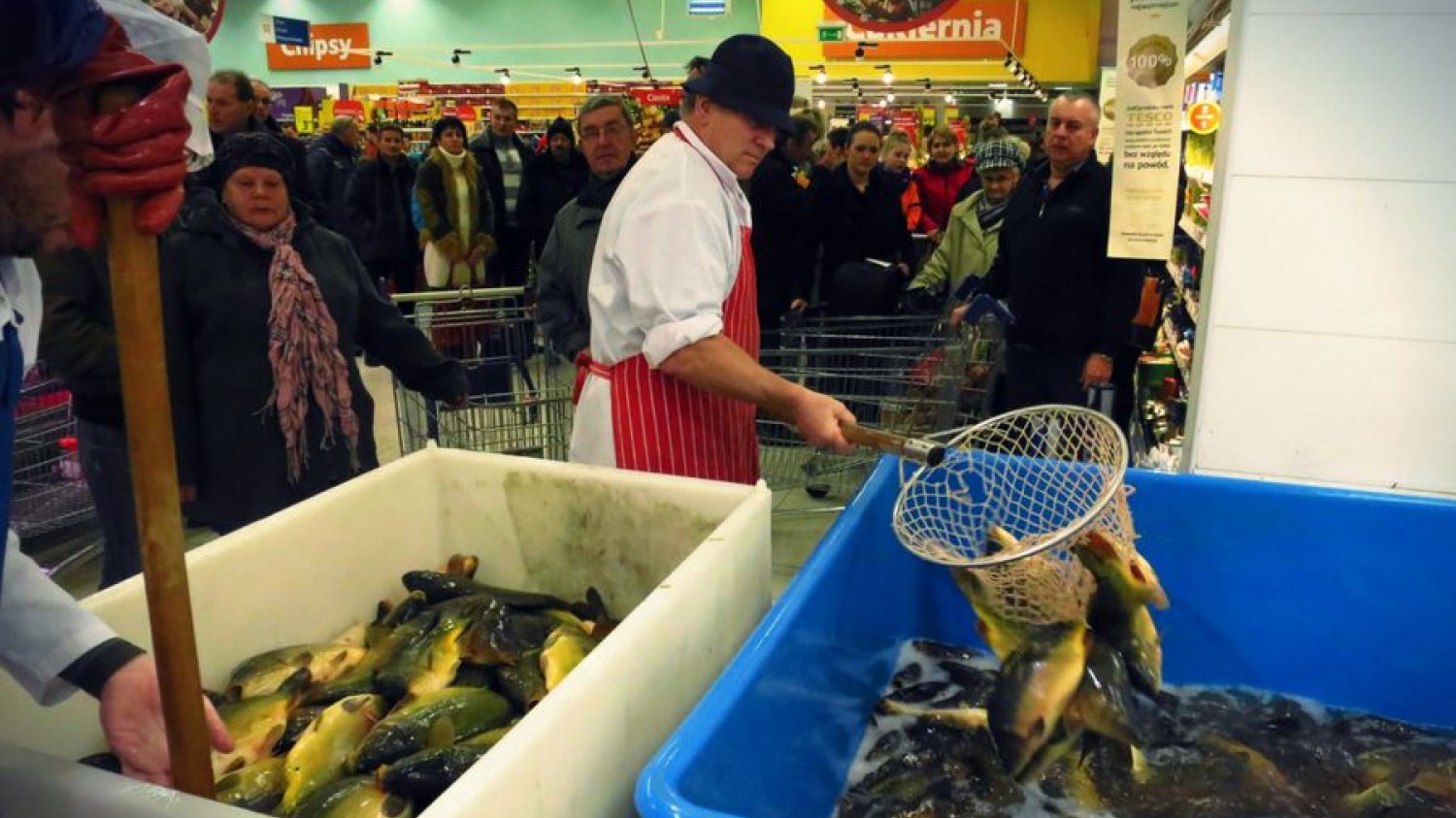 Zakupowa gorączka w poznańskim Tesco.