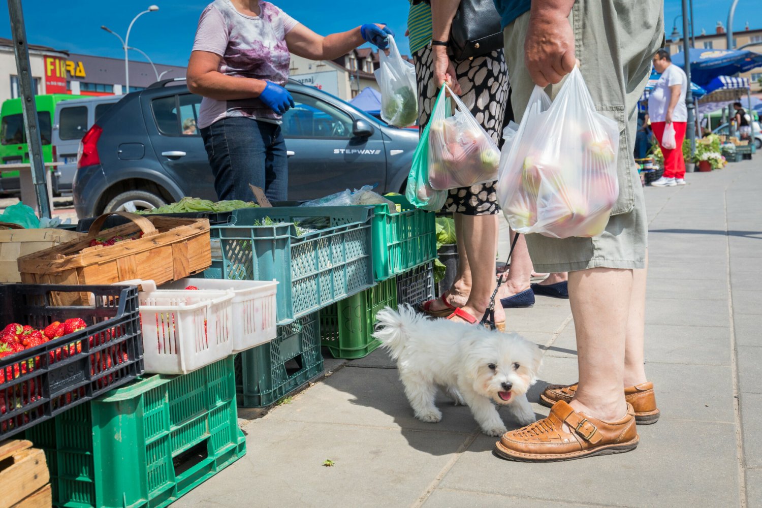 Koniec siatek i opakowań jednorazowych – zmiana przepisów