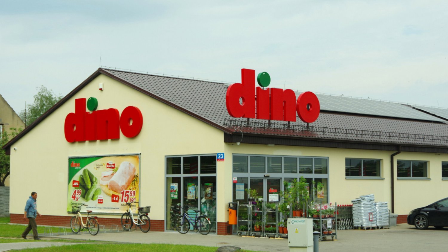 Market Dino