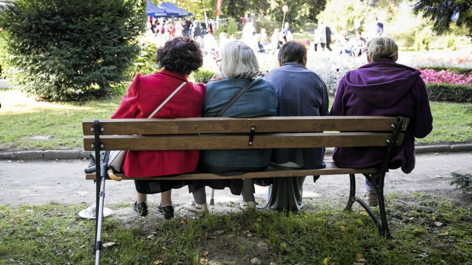 Cztery seniorki siedzą na ławce w parku i rozmawiają.