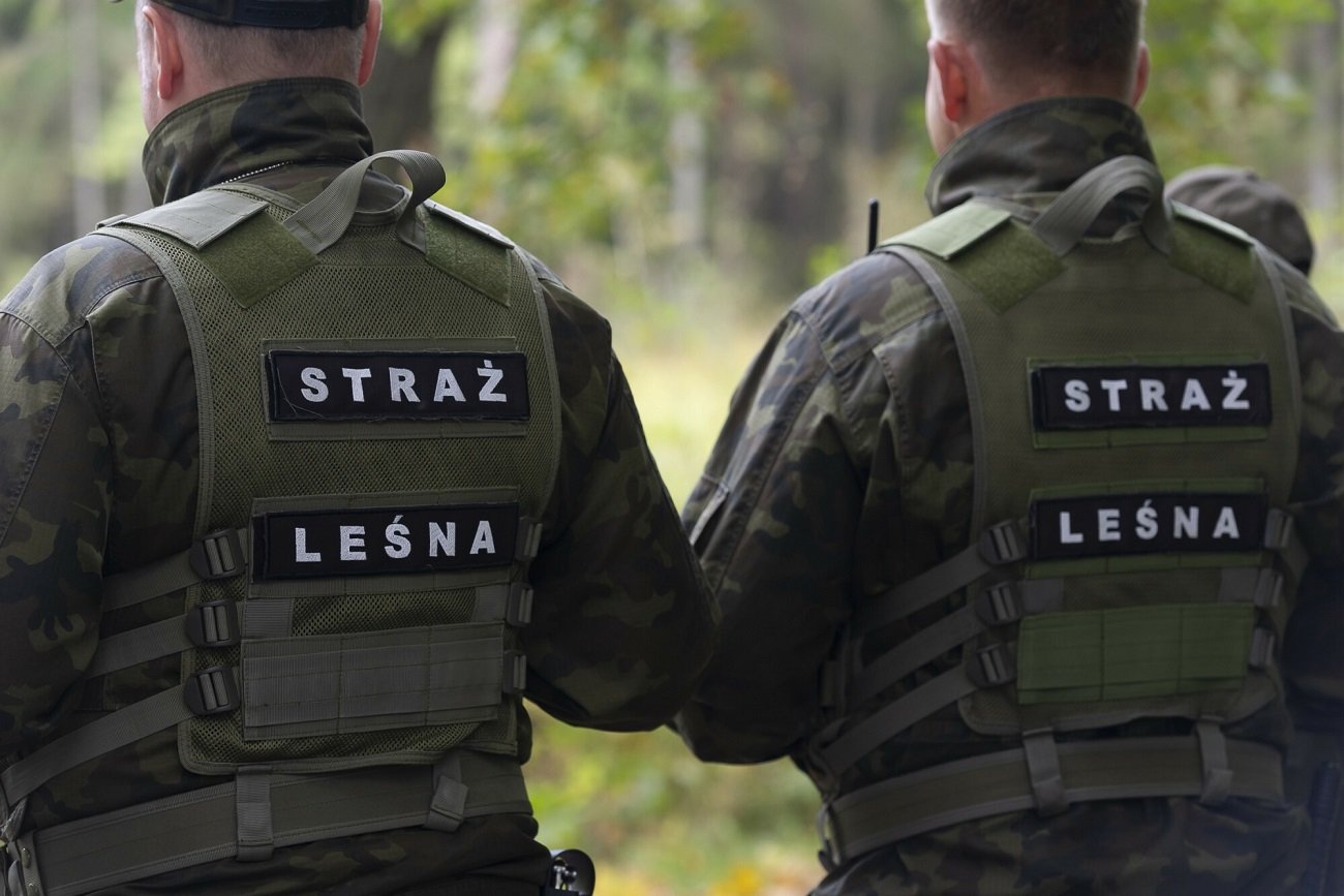 W lasach pojawili się złodzieje mchu.