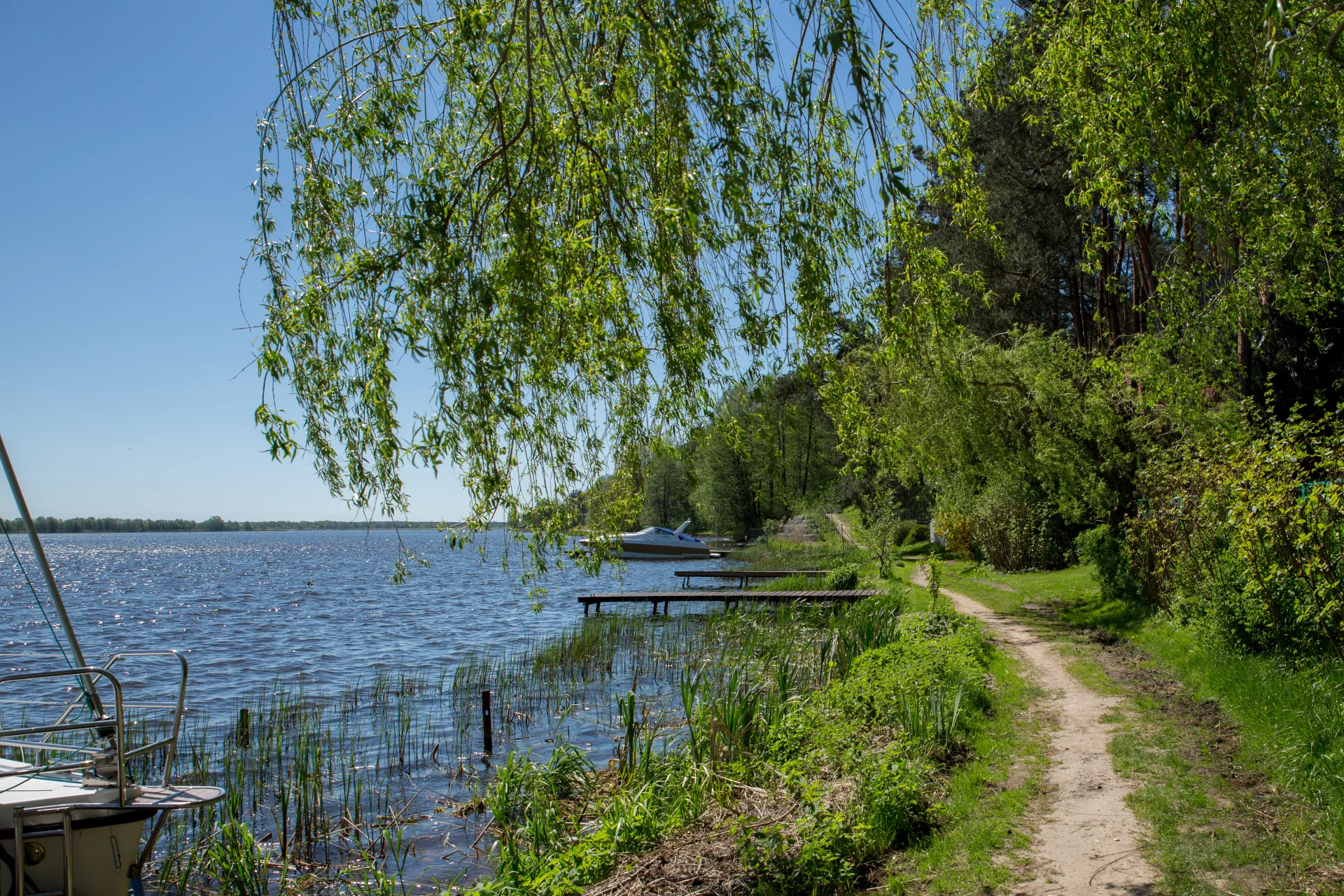 Rzeka Narew w Serocku.