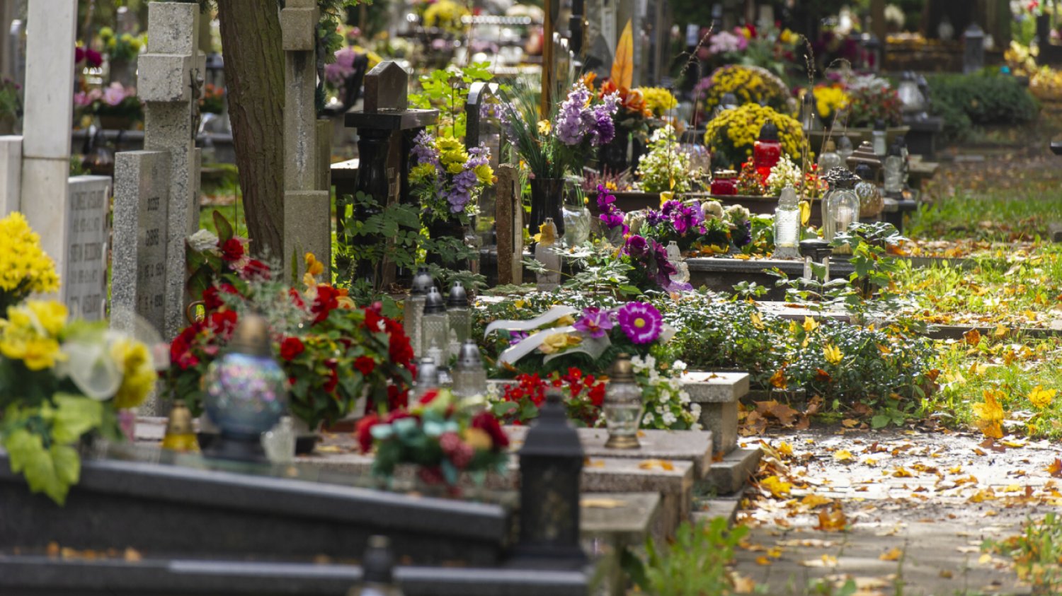 Na cmentarzach komunalnych zmieniły się cenniki