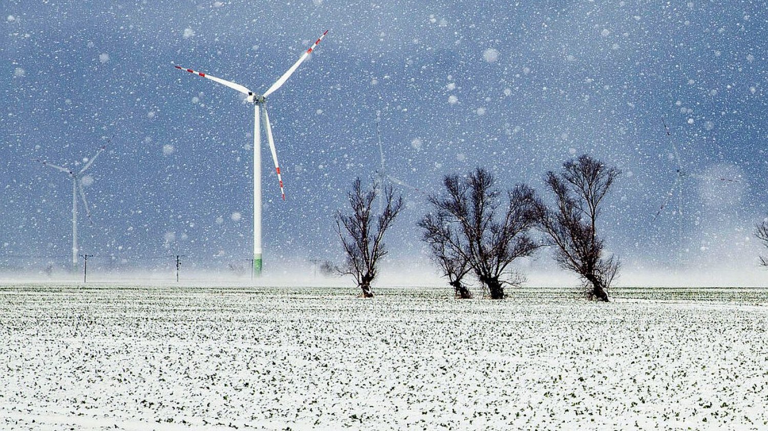 PiS znów blokuje rozwój energetyki wiatrowej
