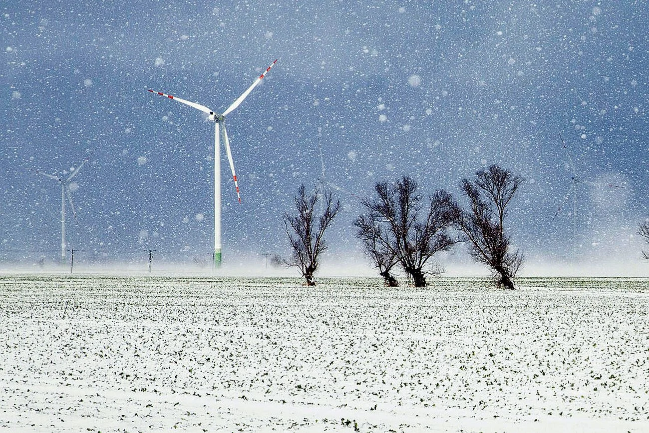 PiS znów blokuje rozwój energetyki wiatrowej