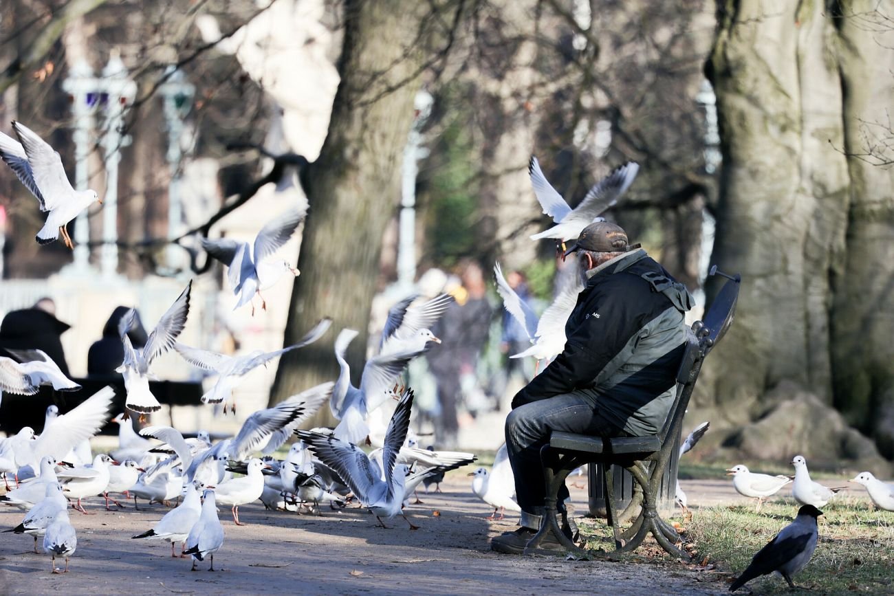 Ile wyniesie emerytura dla przedsiębiorców?