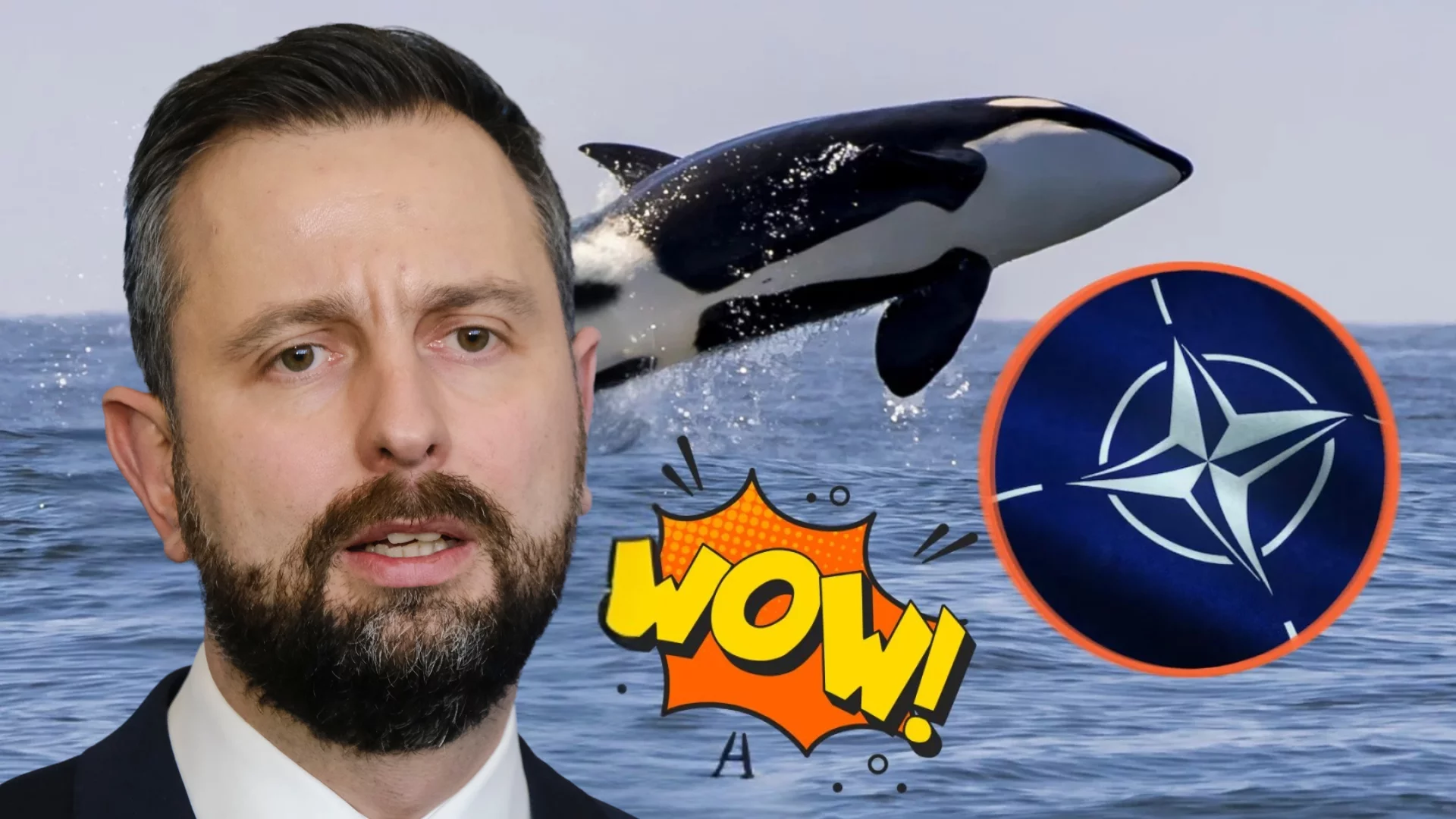 Kosiniak-Kamysz. Orka w oceanie. Logo Nato.