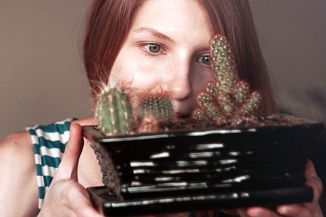 Naukowcy potwierdzili - domowe roślinki są wrogiem smogu