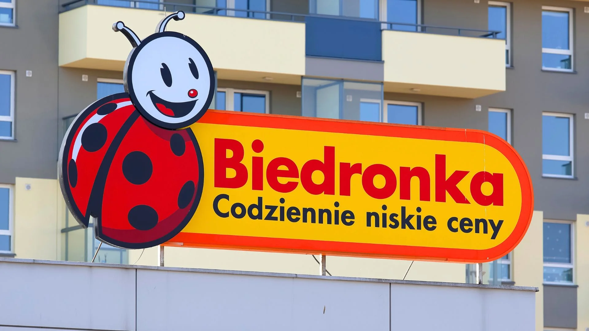 Biedronka daje na to tylko 3 dni. Kapsułki do zmywarki za pół ceny Logo sklepu Biedronka.