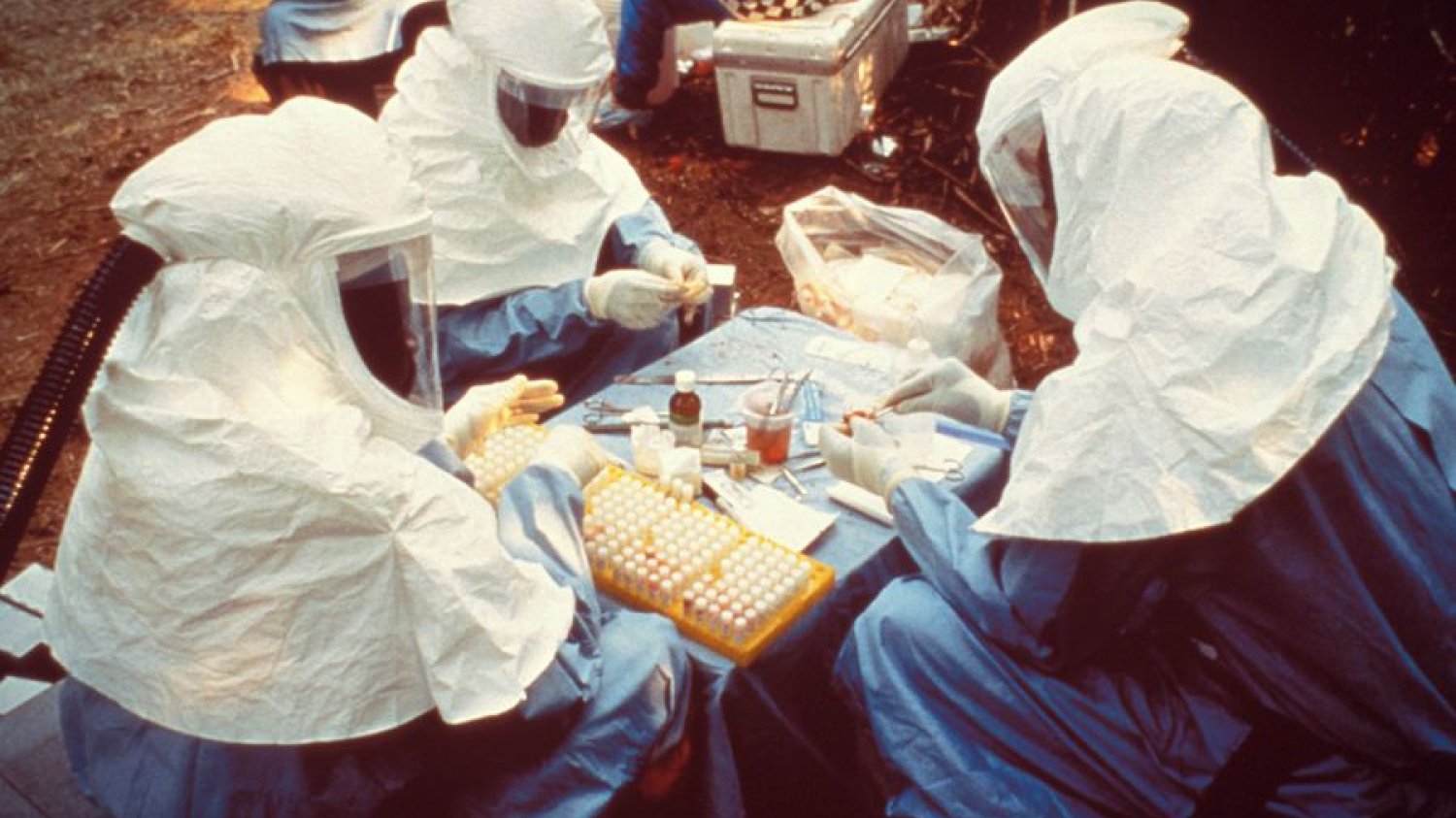 Badania nad wirusem Ebola