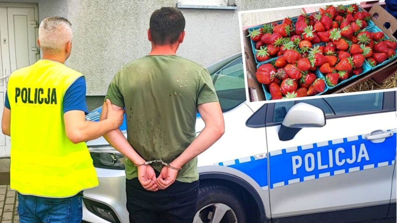 Mężczyzna, który oszukiwał na truskawkach.
