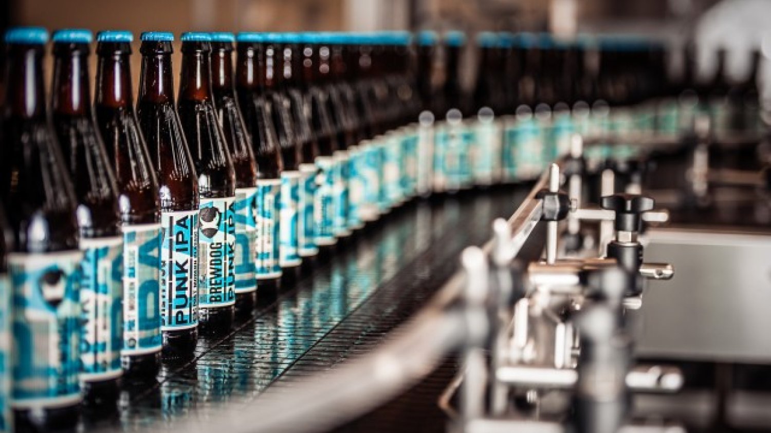 Dołącz do rewolucji i stań się udziałowcem i partnerem 35 tysięcy inwestorów, którzy już zainwestowali w BrewDog