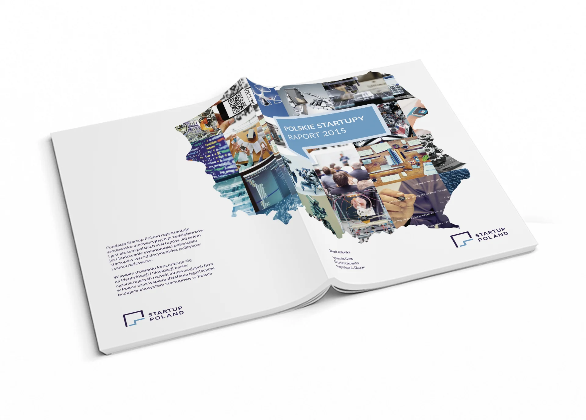 Raport Polskie Startupy 2015
