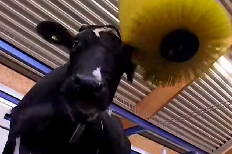 W polskim rolnictwie nie brakuje innowacji, choć z nowych technologii korzystają głównie największe gospodarstwa