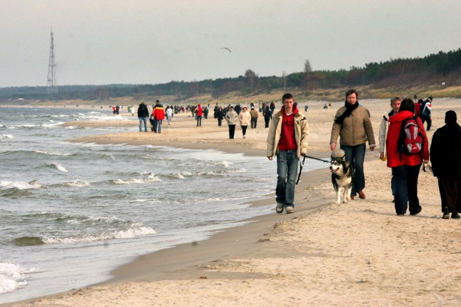 Mieszkańcy Krynicy Morskiej są przeciwni projektowi usypania 181-hektarowej sztucznej wyspy na Zalewie Wiślanym.