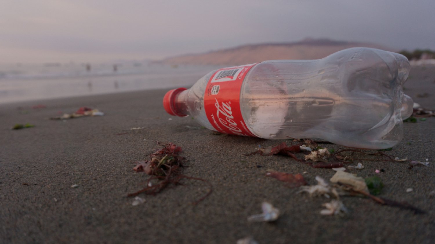 Coca-Cola jest największym producentem plastikowych odpadów.