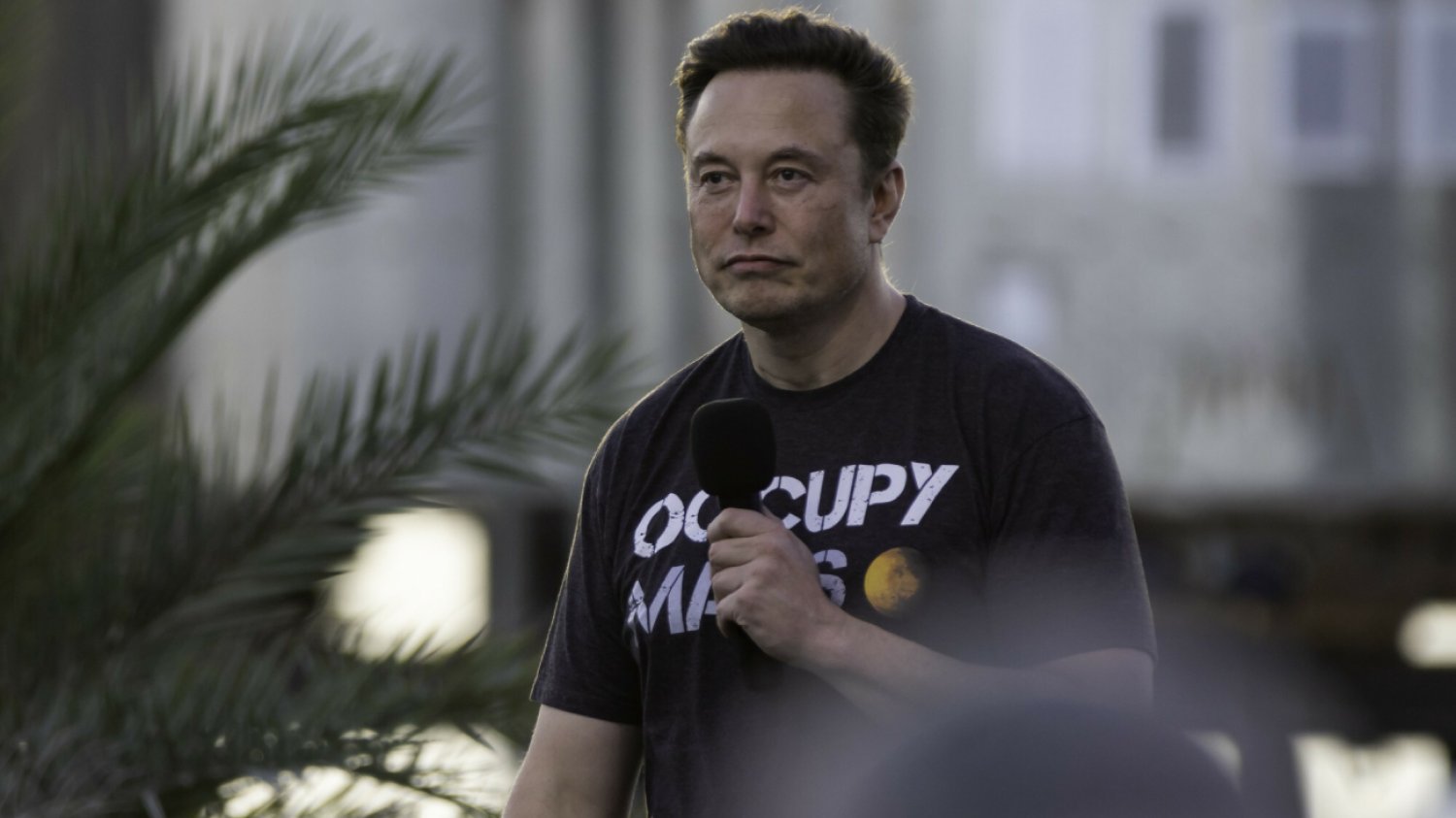 Elon Musk poinformował o spadku przychodów z Twittera