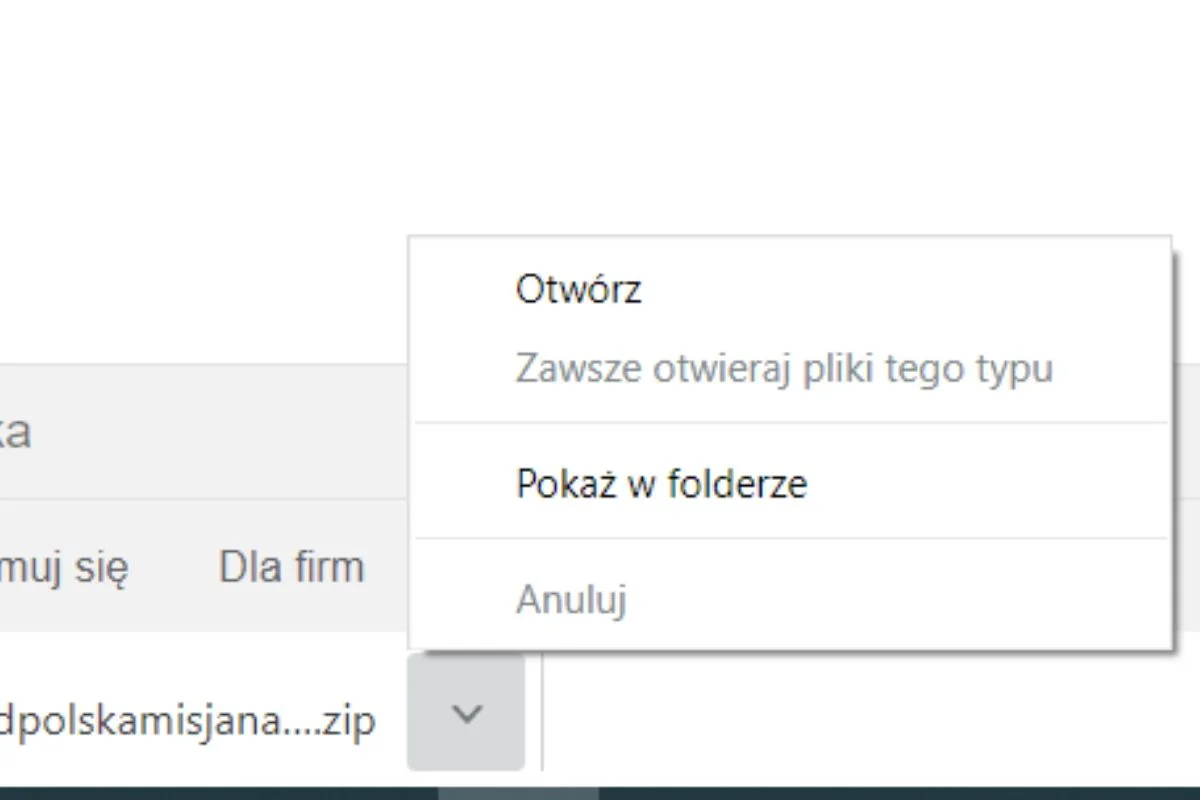 Kilka miesięcy temu opcja automatycznego otwierania archiwów ZIP i RAR została wyszarzona.