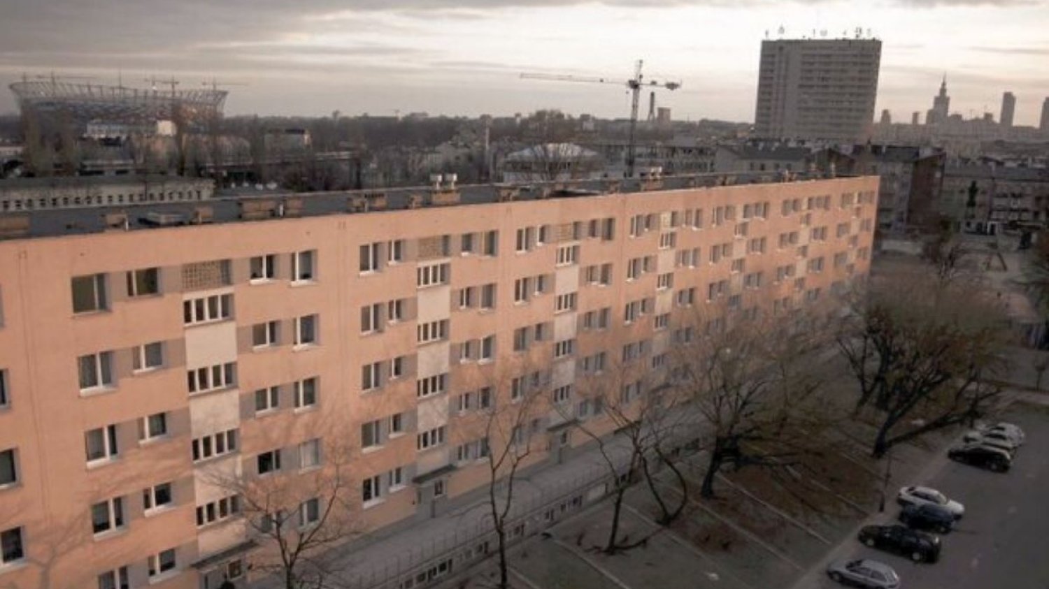 Badacze zauważyli, że szum sejsmiczny zmalał w marcu w związku z pandemią COVID-19 w obrębie Brukseli o ok. 33 proc. w porównaniu do poprzedniego miesiąca.