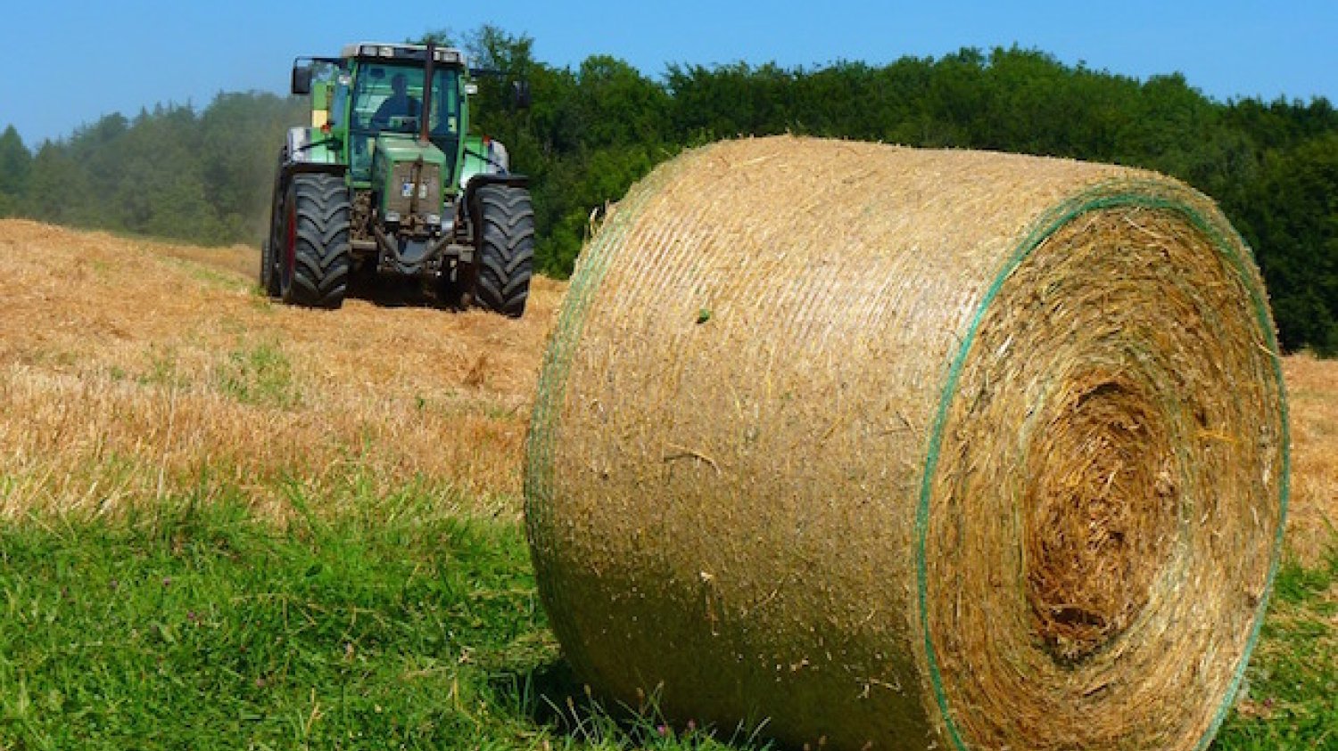 Zyska klient, ale co z polskimi rolnikami?