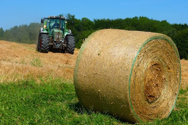 Zyska klient, ale co z polskimi rolnikami?
