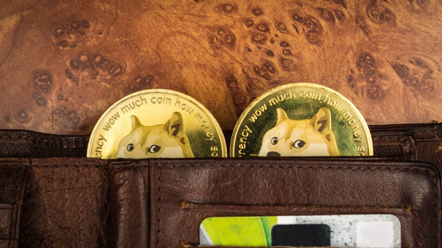 monety Dogecoin w portfelu