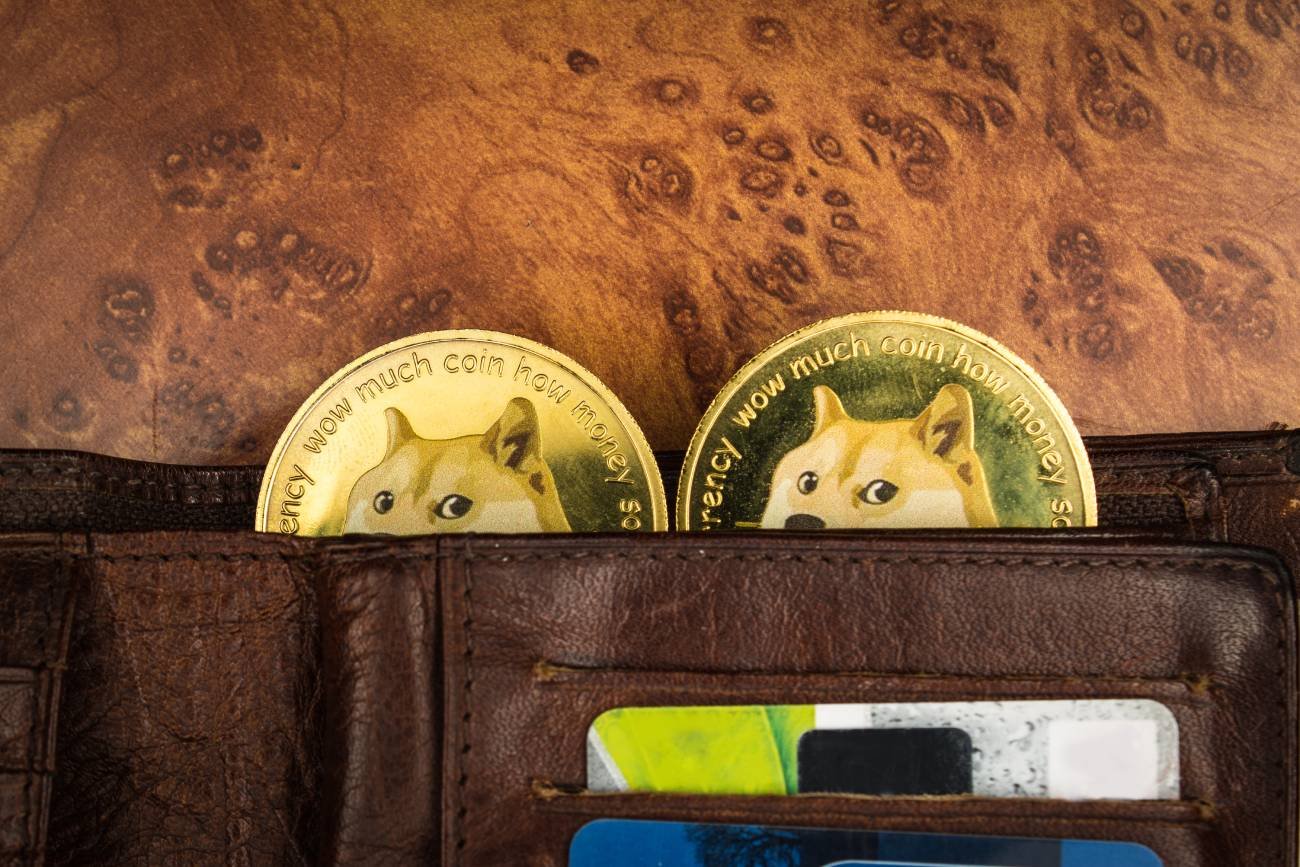 monety Dogecoin w portfelu