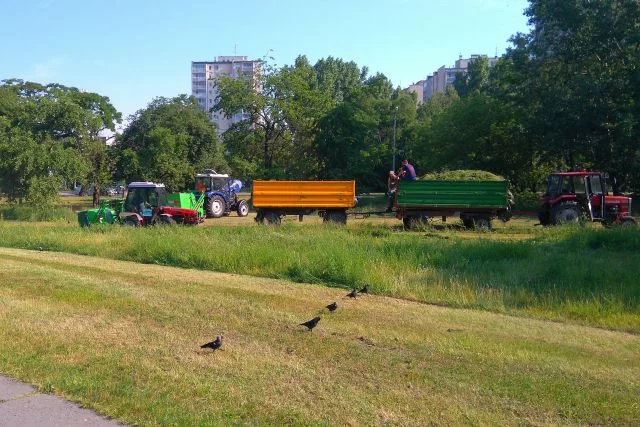 Jedno z warszawskich osiedli. Urobek na godz. 8:40.