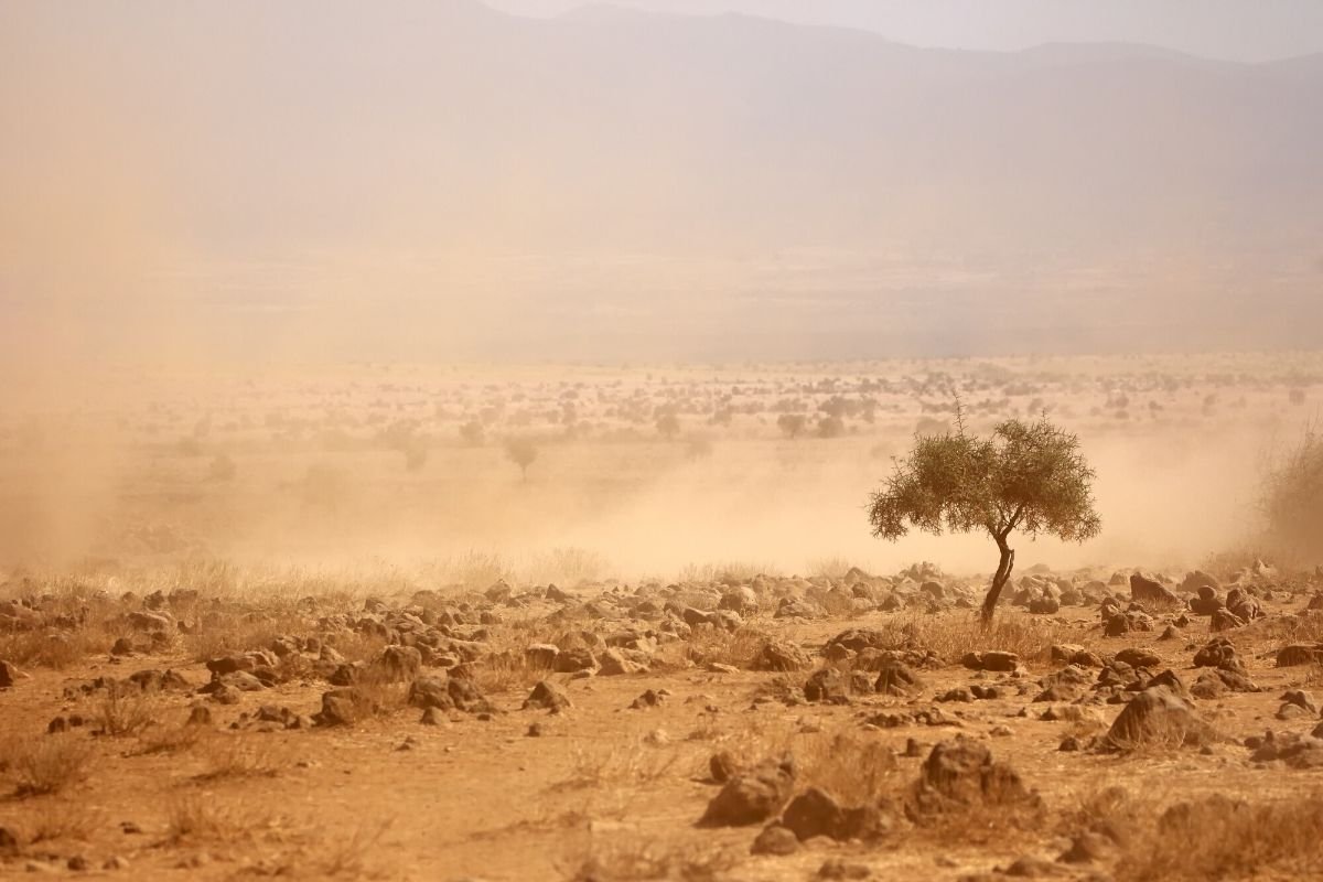 Naukowcy nie są pewni, co spowodowało drastyczny wzrost prognoz wielu modeli klimatycznych.