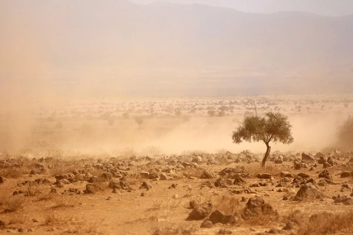 Naukowcy nie są pewni, co spowodowało drastyczny wzrost prognoz wielu modeli klimatycznych.