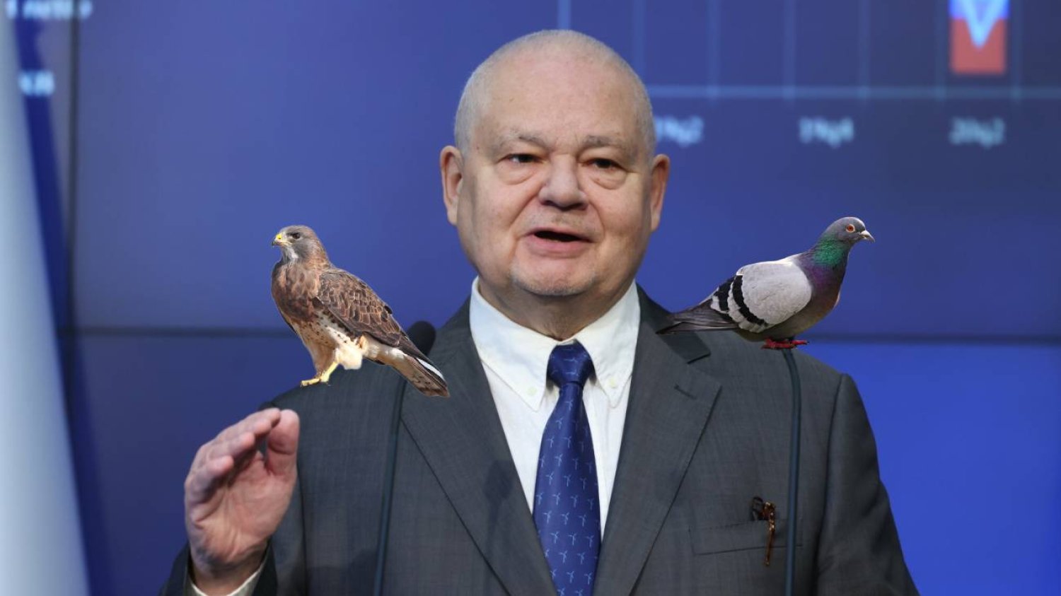 Adam Glapiński, jastrząb, gołąb.