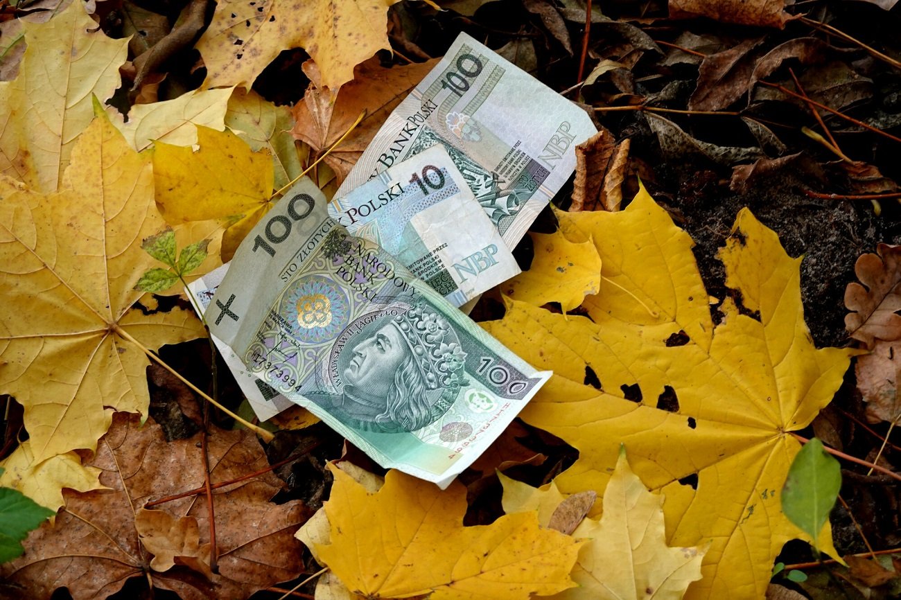 Pieniądze w liściach.