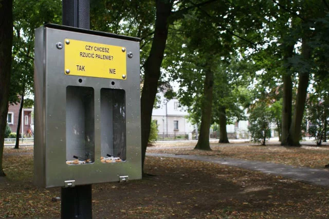 Złotów ma wiele pomysłów, jak dbać o ekologię