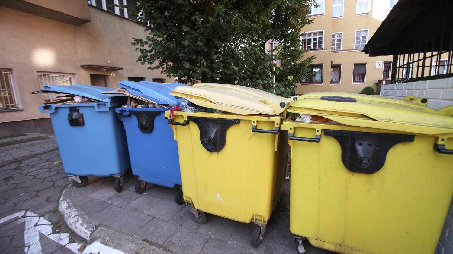 Zmienią się zasady segregacji śmieci.