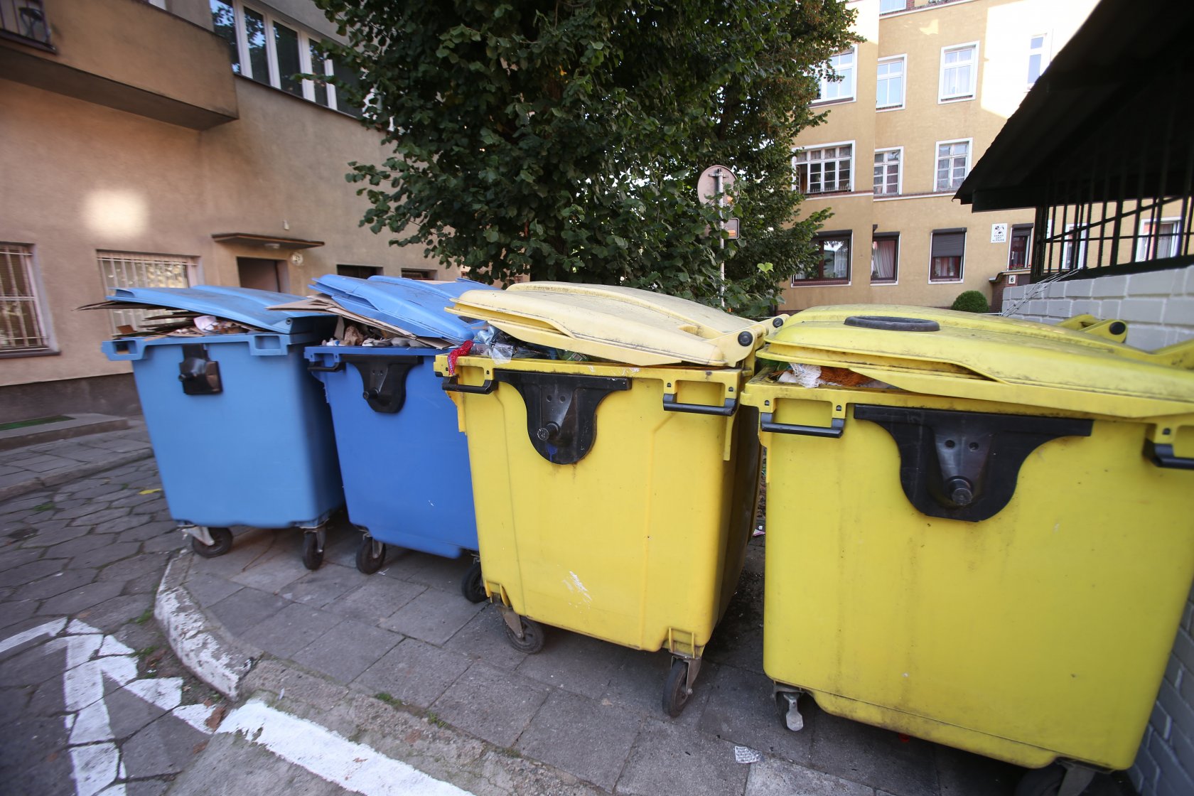 Zmienią się zasady segregacji śmieci.