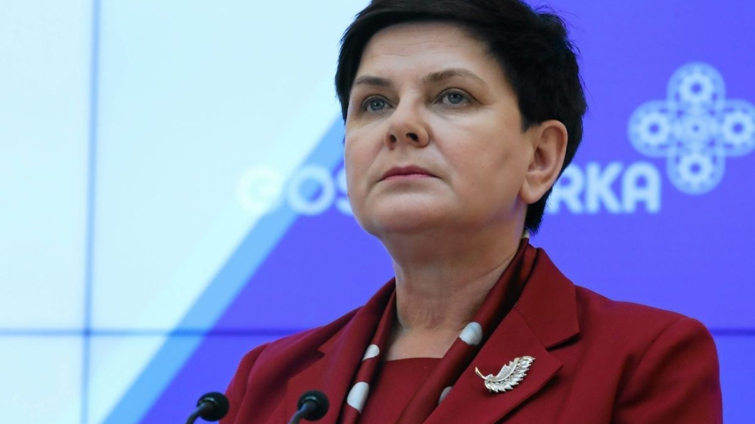 Według zapowiedzi Beaty Szydło, 500 Plus miało być programem demograficznym.
