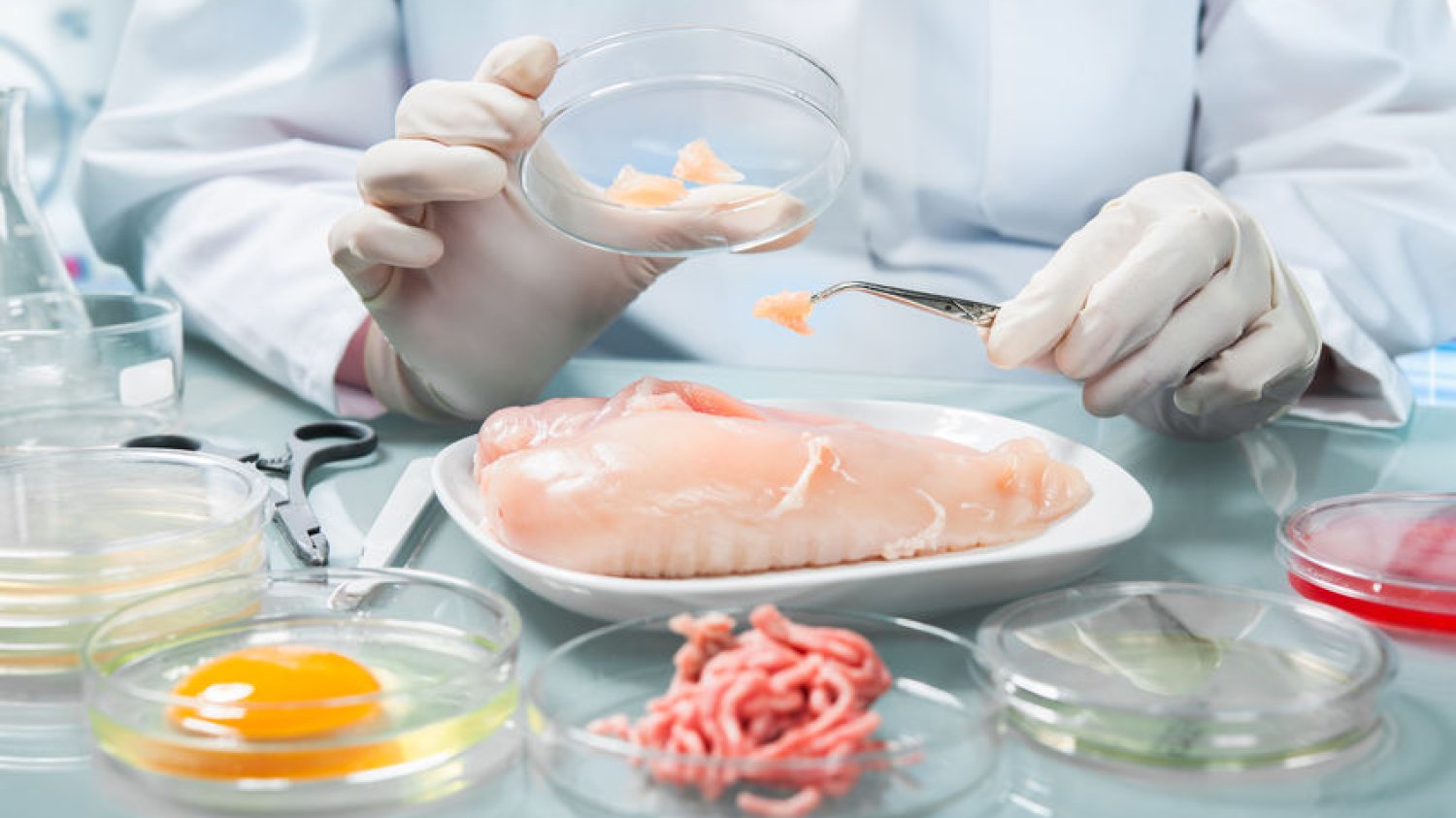 Badacz tworzy sztucznie wyhodowane mięso w laboratorium.