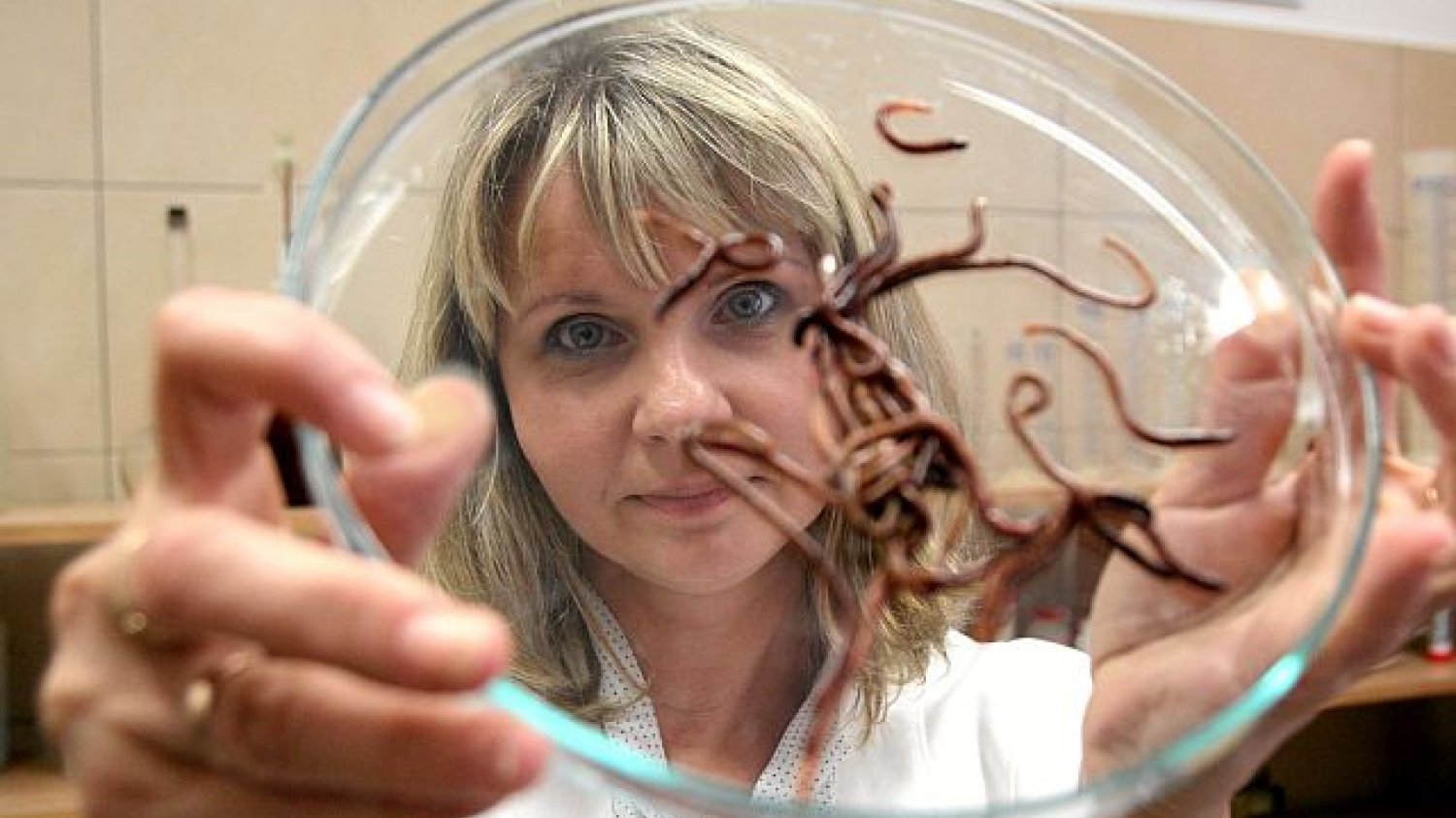 Dr Marta Fiołka z Wydziału Biologii i Biotechnologii UMCS z drogocennymi dżdżownicami. Te bezkręgowce produkują lek na raka.