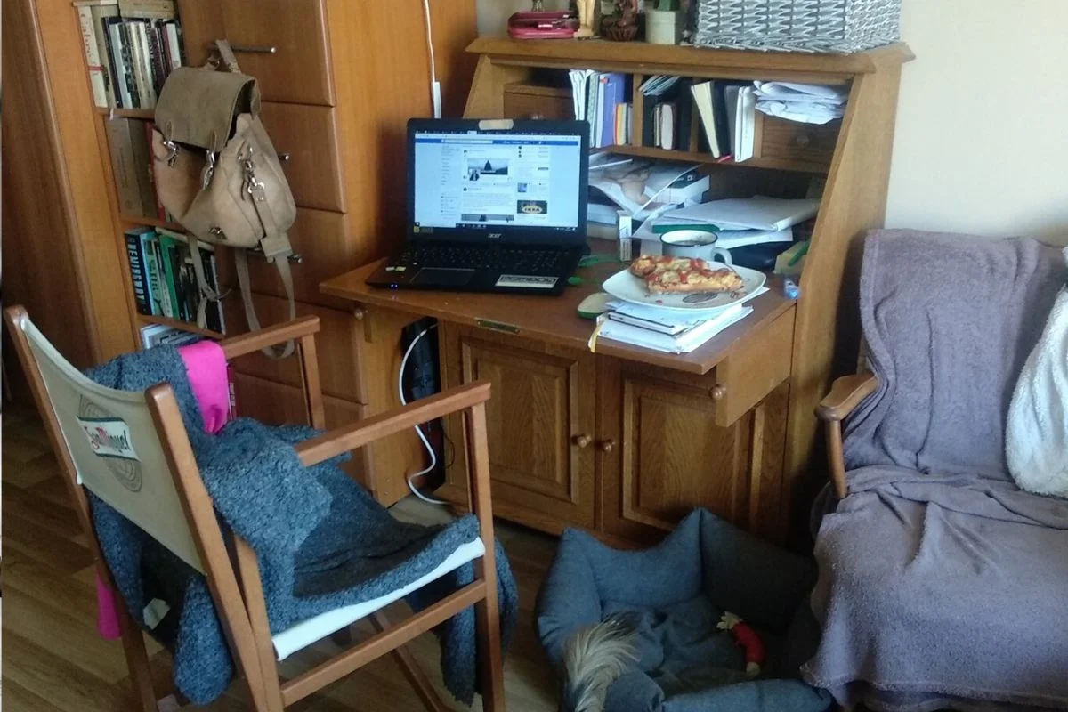 ... zaś w tym artystyczny nieład i smakowity zapach zapiekanki.